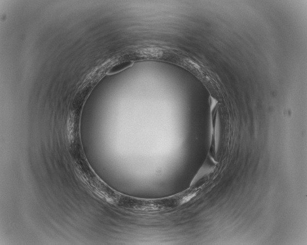 X0000081610600200702051356