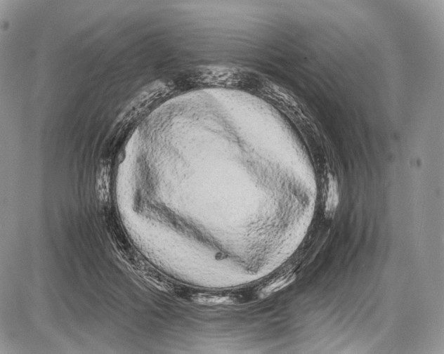 X0000081610602200702051356