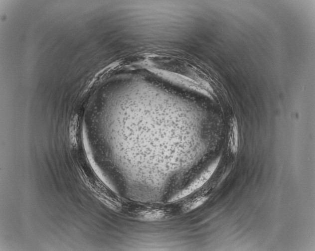 X0000081610604200702051356