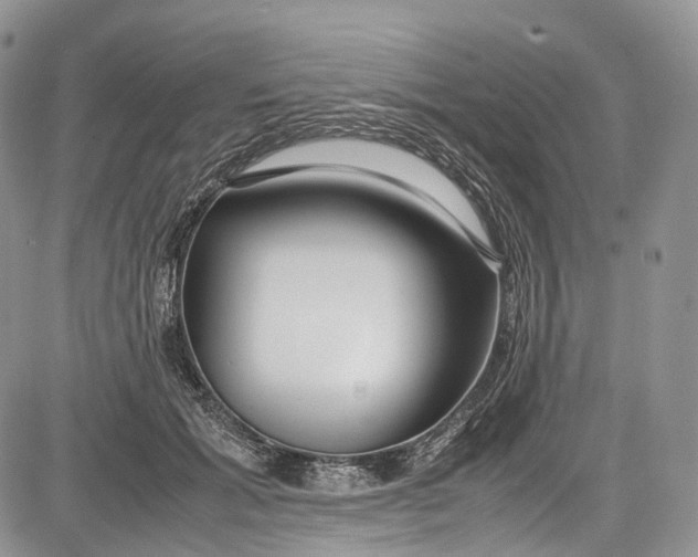 X0000081610605200702051356