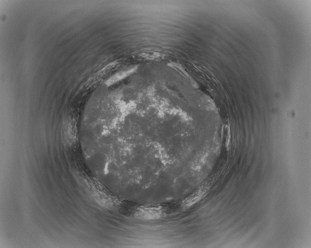 X0000081610606200702051356