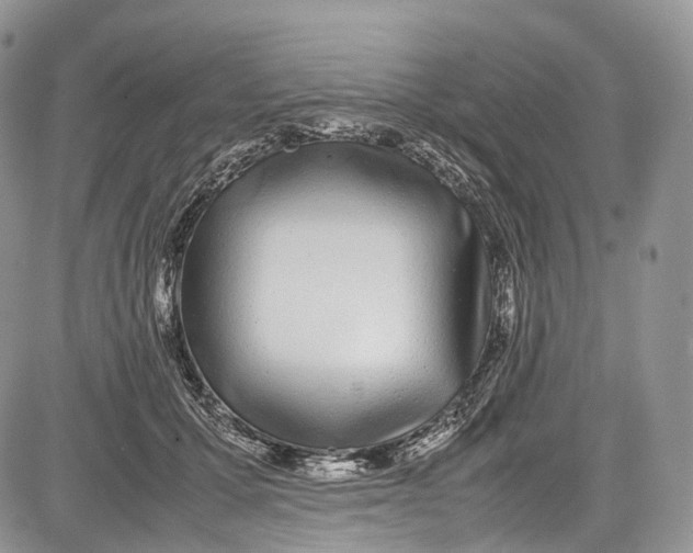 X0000081610607200702051356