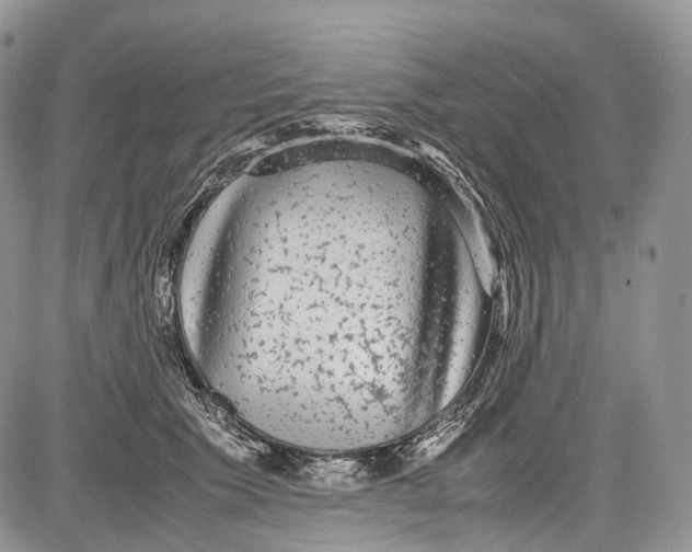 X0000081610609200702051356