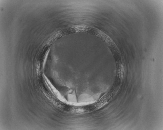 X0000081610610200702051356