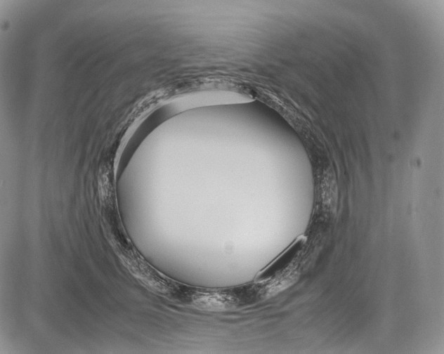 X0000081610611200702051356