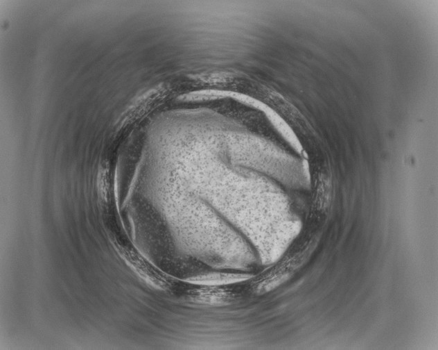 X0000081610612200702051356