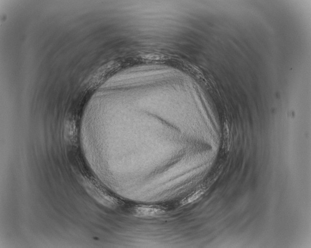 X0000081610614200702051356