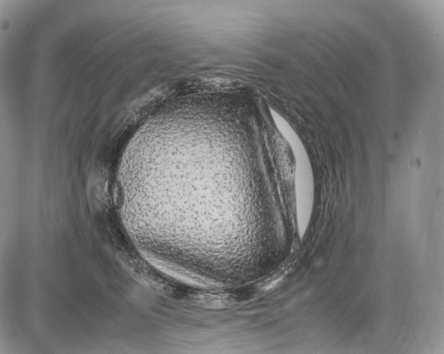 X0000081610615200702051356