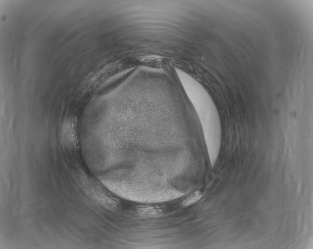 X0000081610616200702051356