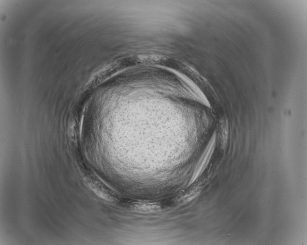 X0000081610619200702051356