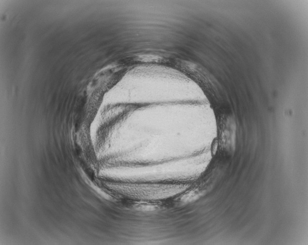 X0000081610620200702051356