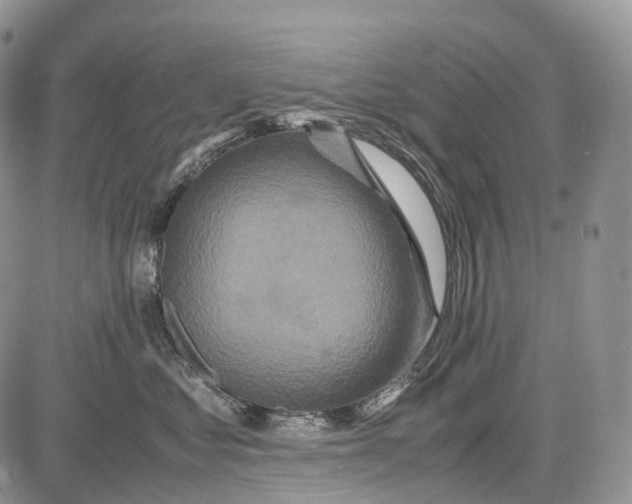 X0000081610621200702051356