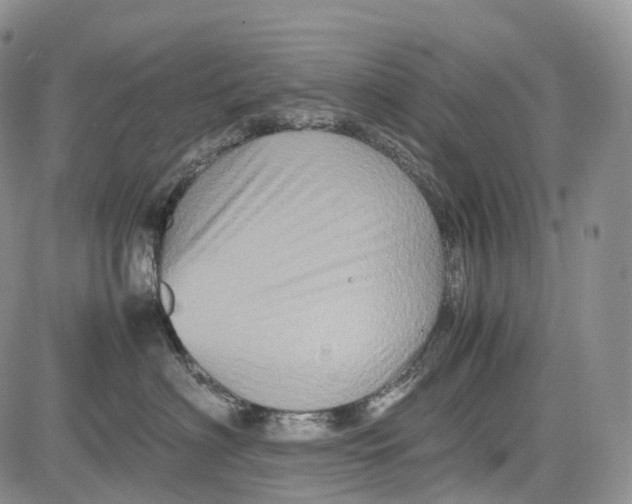 X0000081610622200702051356