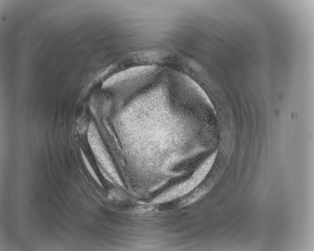 X0000081610624200702051356