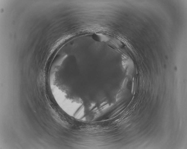 X0000081610626200702051355