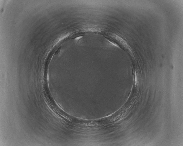 X0000081610627200702051355