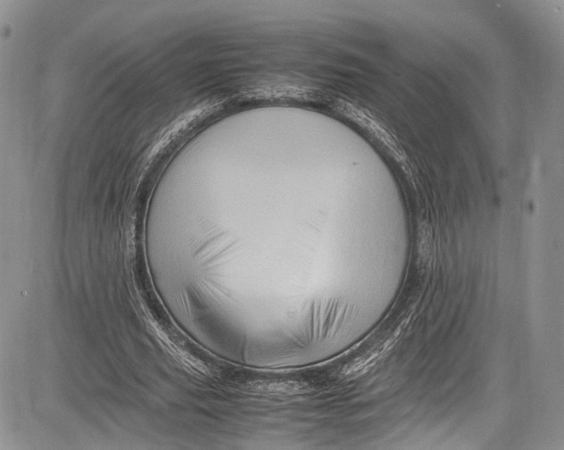 X0000081610629200702051355