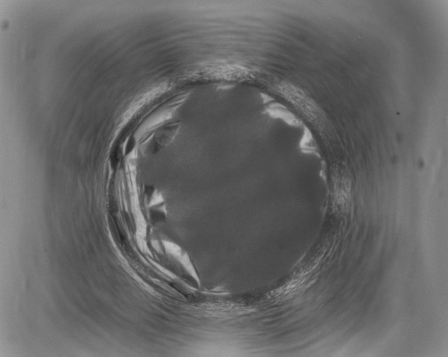 X0000081610630200702051355