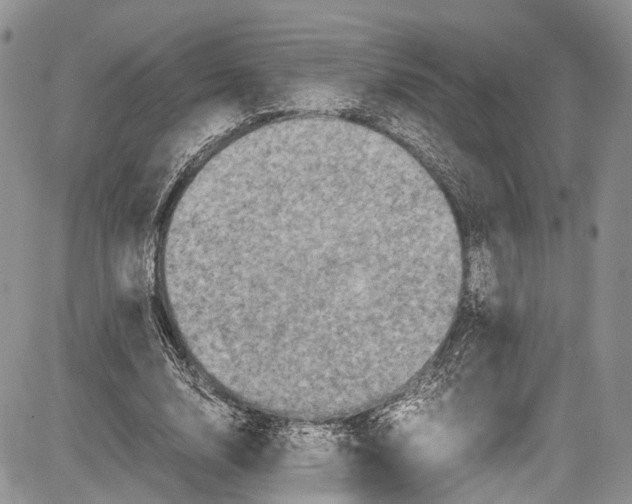 X0000081610632200702051355