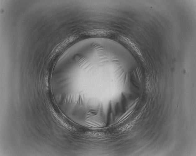 X0000081610633200702051355