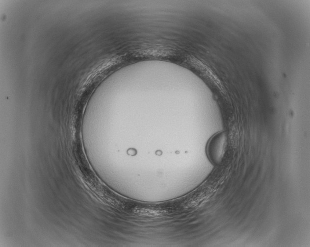 X0000081610635200702051355