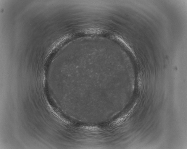 X0000081610637200702051355