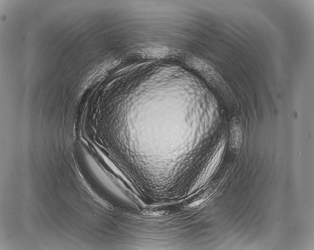 X0000081610638200702051355