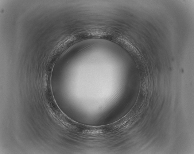 X0000081610639200702051355