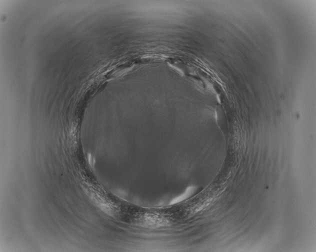 X0000081610641200702051355