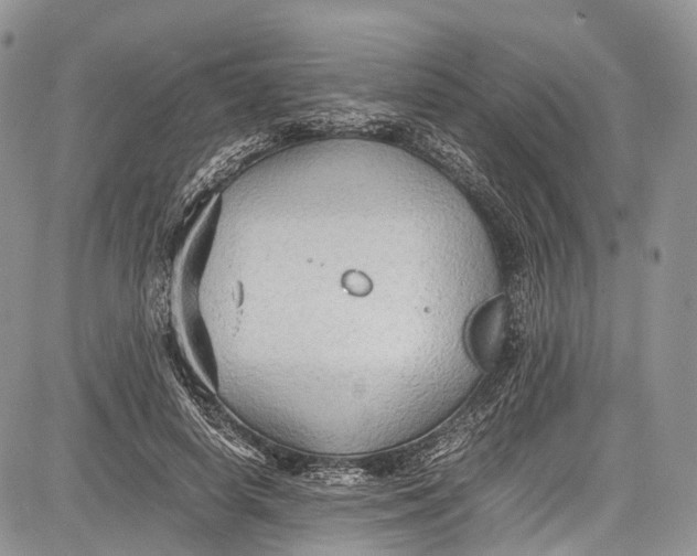 X0000081610642200702051355