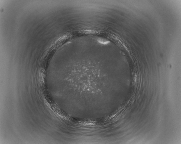 X0000081610643200702051355