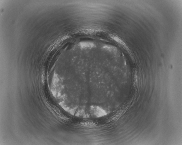 X0000081610644200702051355