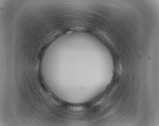 X0000081610645200702051355