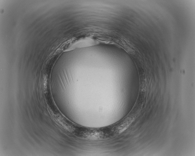 X0000081610646200702051355