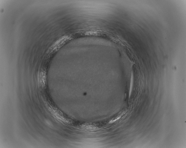 X0000081610648200702051355