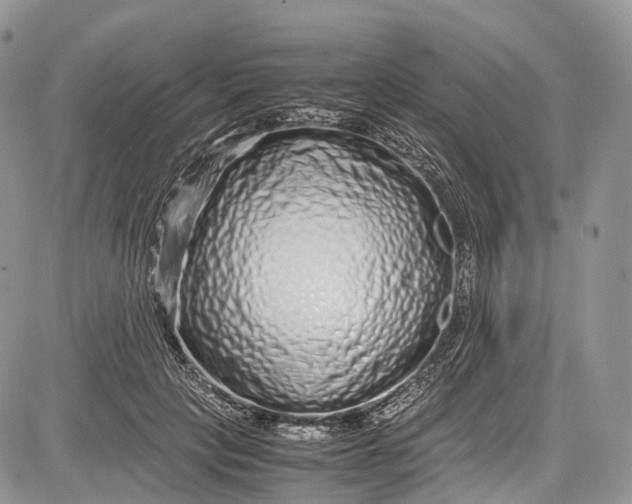 X0000081610649200702051355