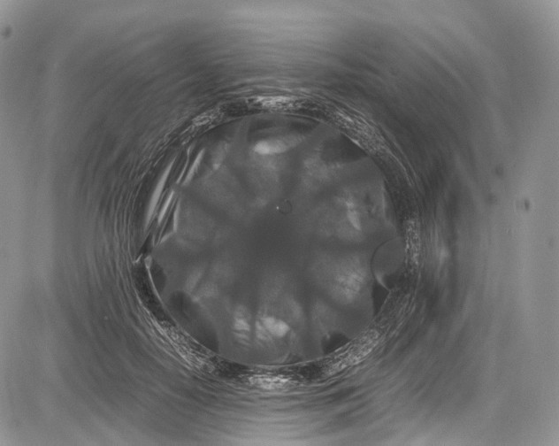 X0000081610650200702051355