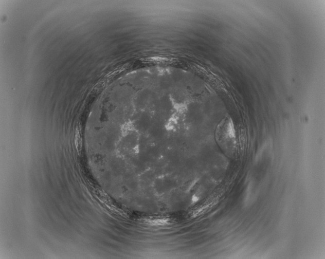 X0000081610651200702051355