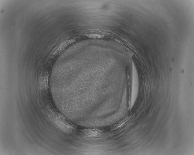 X0000081610652200702051355