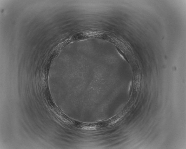 X0000081610653200702051355