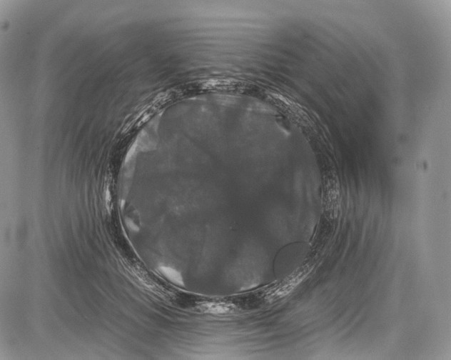 X0000081610654200702051355