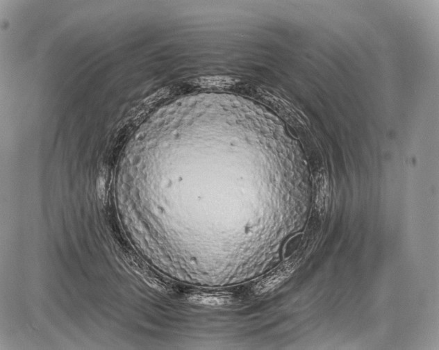 X0000081610655200702051355