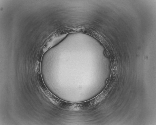 X0000081610656200702051355