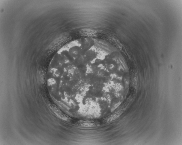 X0000081610658200702051355