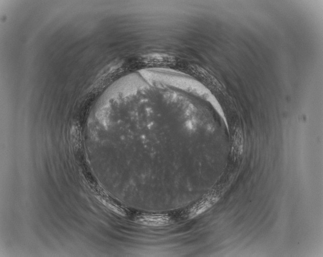 X0000081610659200702051355