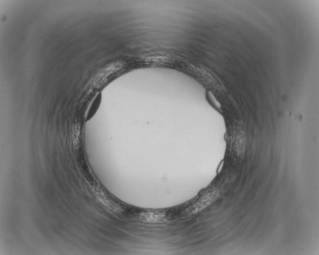 X0000081610660200702051355