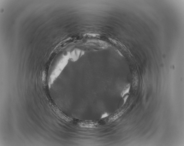 X0000081610661200702051355