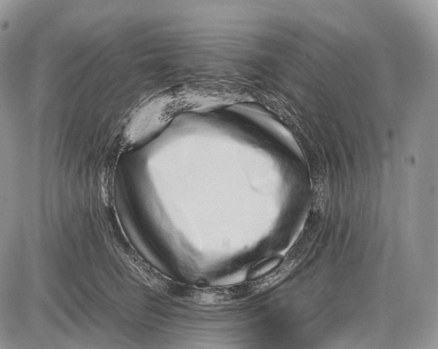 X0000081610662200702051355