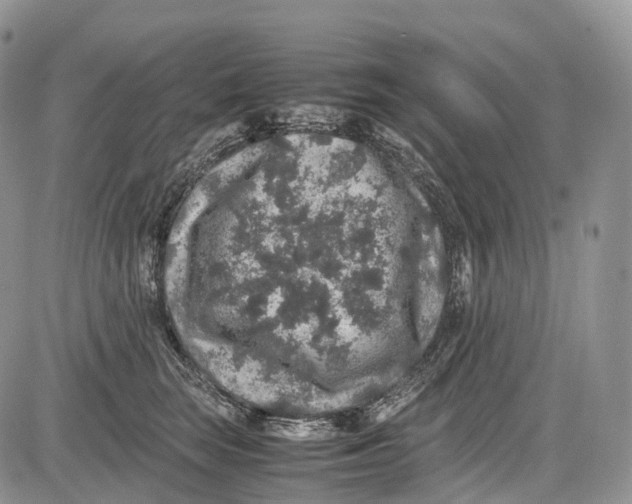 X0000081610663200702051355