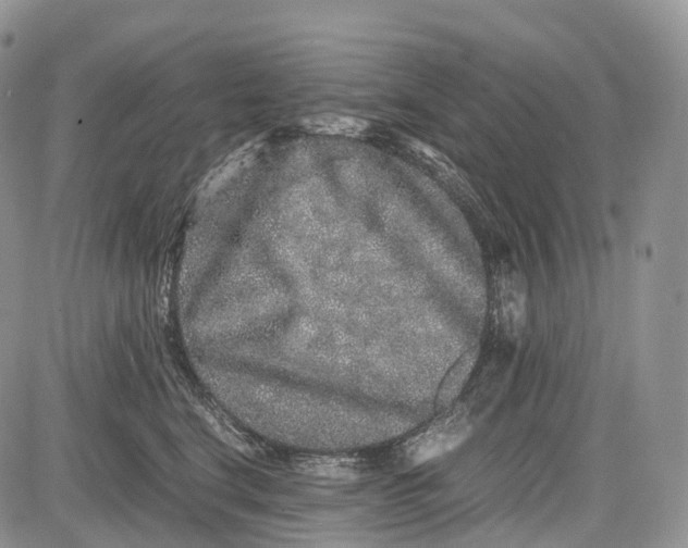 X0000081610664200702051355